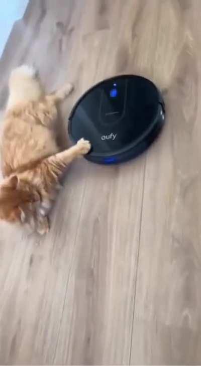 These things aren’t just for cleaning 😹