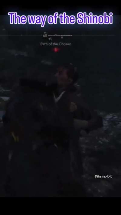 The way of the shinobi