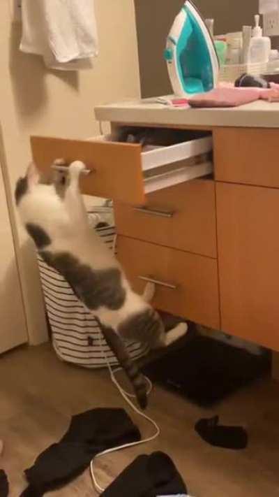 The experiment yeilded an unexpected finding.