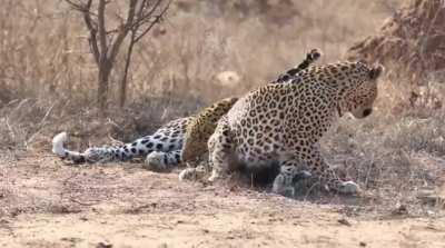 What do women actually want?