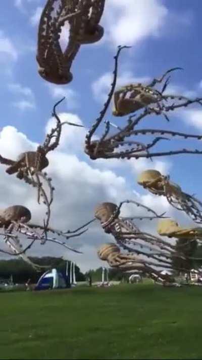 Octopus Kites