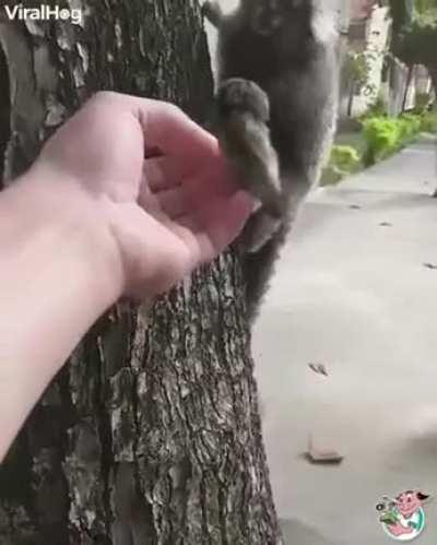 Go back to mommy, little one.