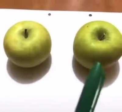Real Apple vs. Picture Apple