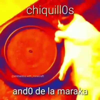 el que dija repost le doy 2 tiros en el pecho