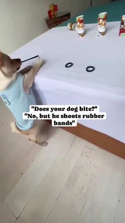 He shoots perfect score