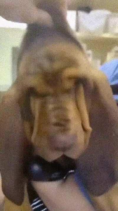 That feeling when you don't know what's going on)