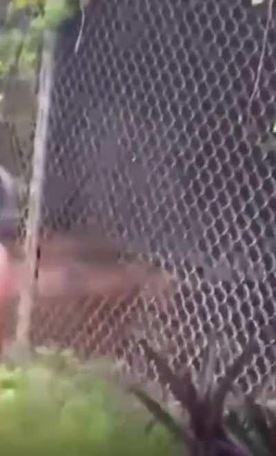 Soft kitty, warm kitty, little ball of fur......