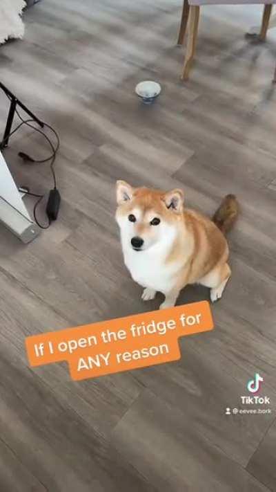 Anyone else have a foodshadow?