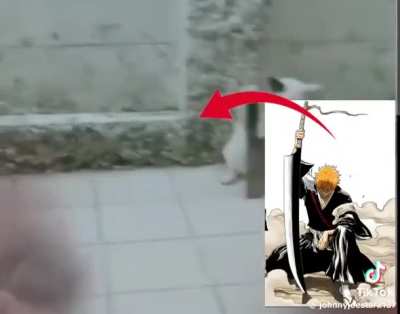 Ichigo is a cat Hybrid now?