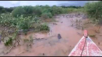 Fancy a nice little boat trip?