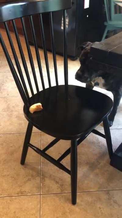 I was impressed he figured it out so quickly.