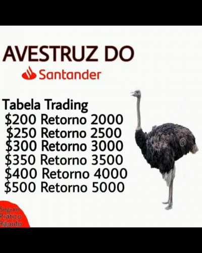 Urubu do Pix ou Galinha da Blaze?