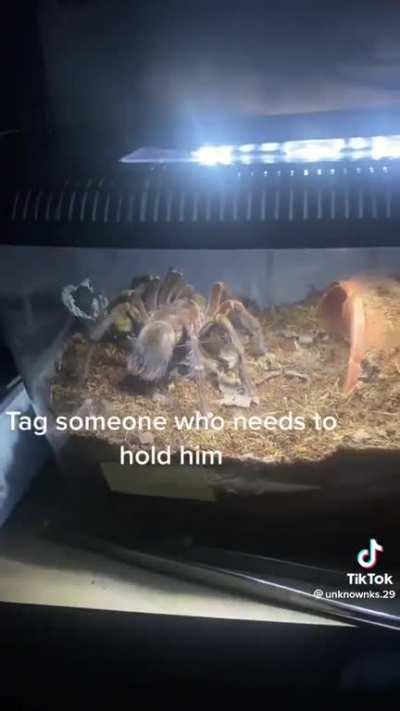 Dontai favorite person 