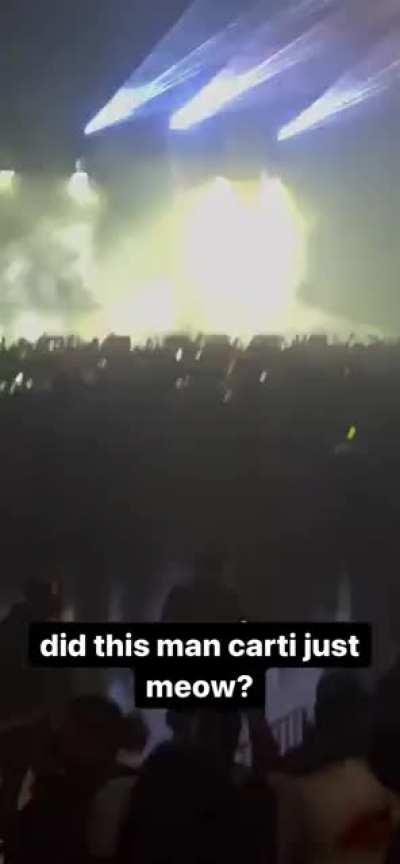 bro makes weirder sounds everytime 😭