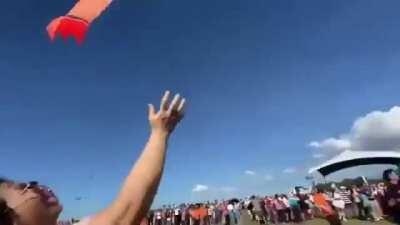 Little Girl Gets Tangled in Kite