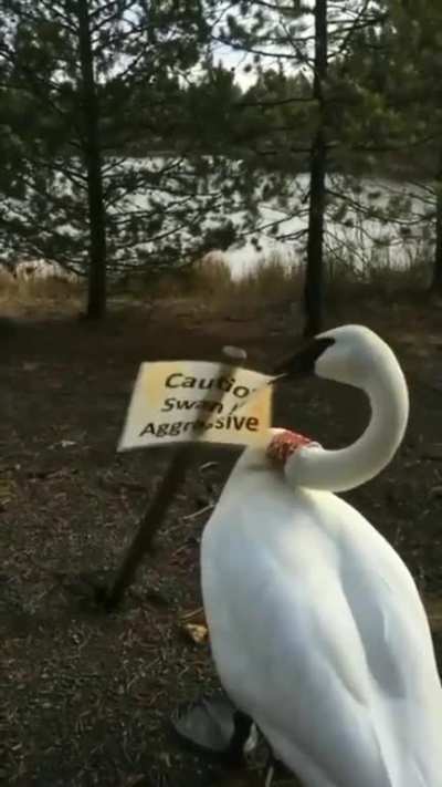 ⚠️ Caution ⚠️