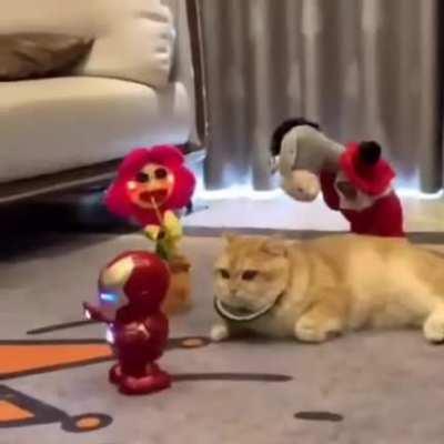 PVZ-2 | Ever wondered why you never see the Pink Marigold? Well, let's just say he choose a different career...