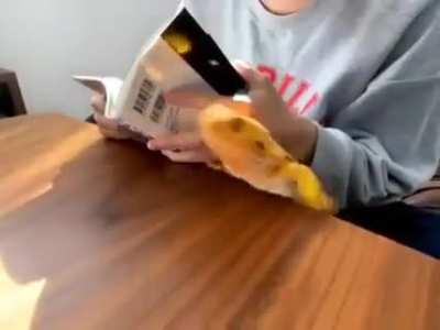 to get on top the table