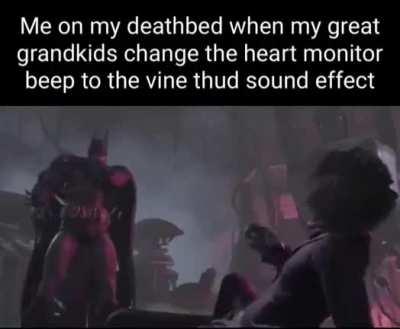 Me on my deathbed when my great grandkids change the heart monitor beep to the vine thud sound effect