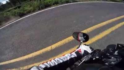 I hit a cow on my Triumph and we both lived to tell the tale