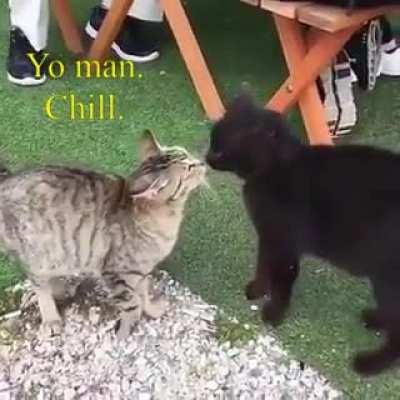 Nothing To See Here Folks. Move along.