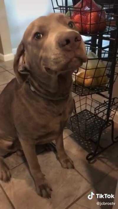 And he will do it again