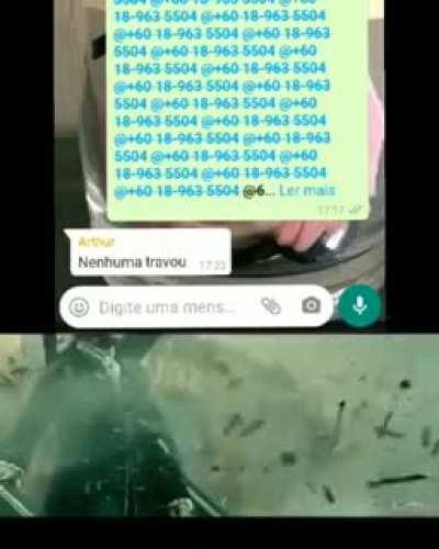 HUEstation - Video #5526