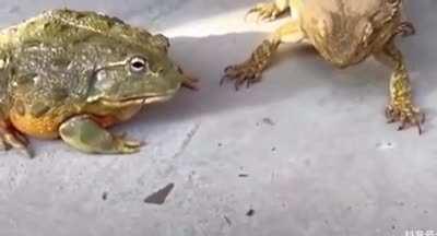 When my team mate steals all my kills.