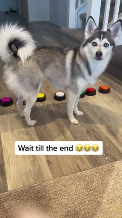 Lucy is a SAVAGE 😂