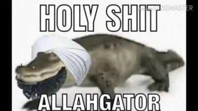 Funny allahgator