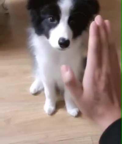 At least, he try his best :))