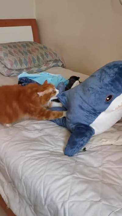 A monster feasting on a poor defenseless blahaj 😔🙏