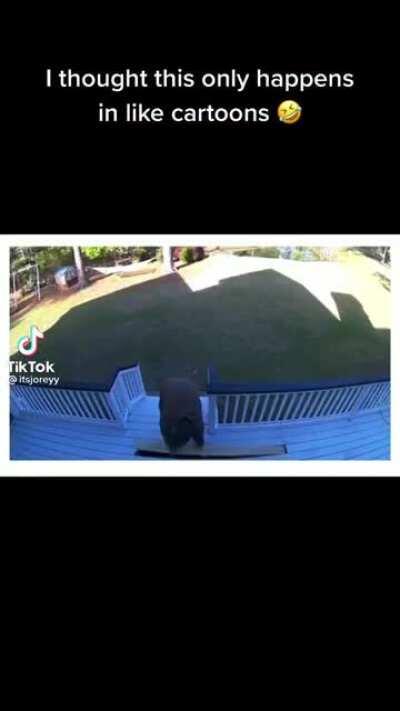 Seeing this IRL is hilarious