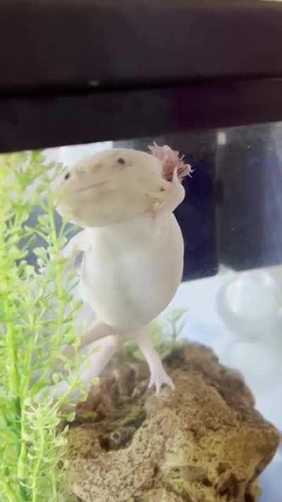 Charlotte says hi, wave back to Charlotte!👋🏻