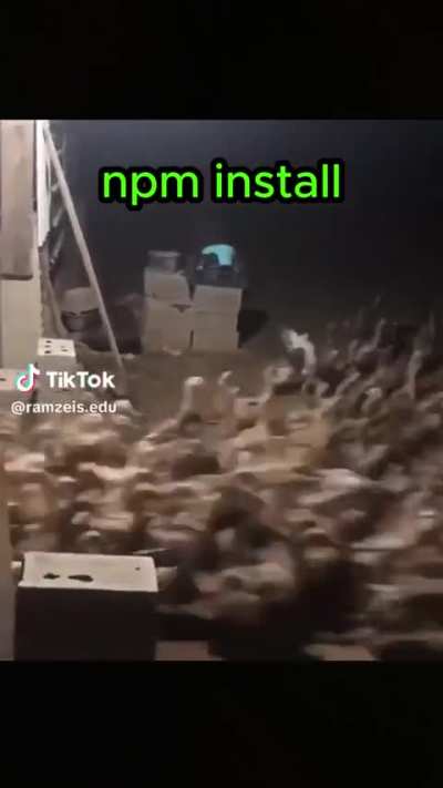 Npm install 