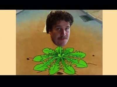 Lülülü - Löwenzahn