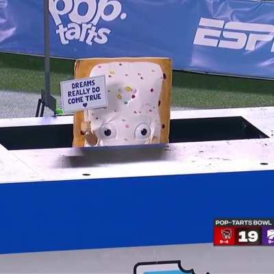 what did i just witness