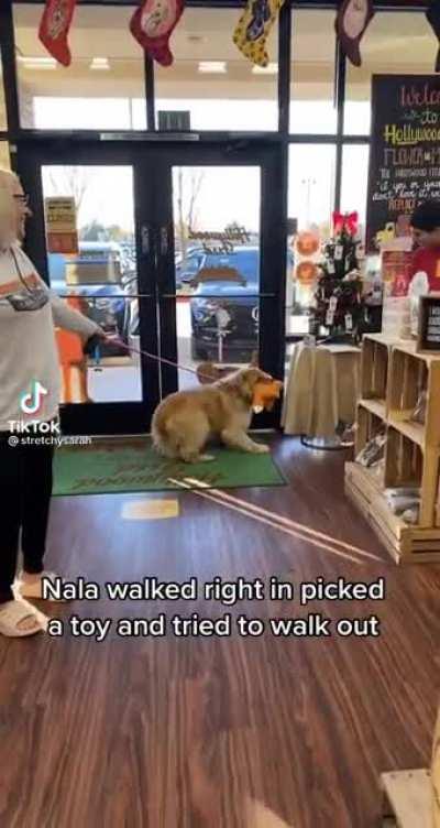 Call the cops when you see nala