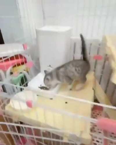 Did someone say food time?