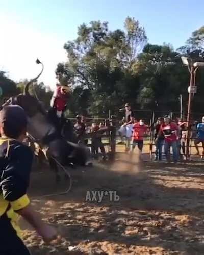 Pretty hard hit on the head