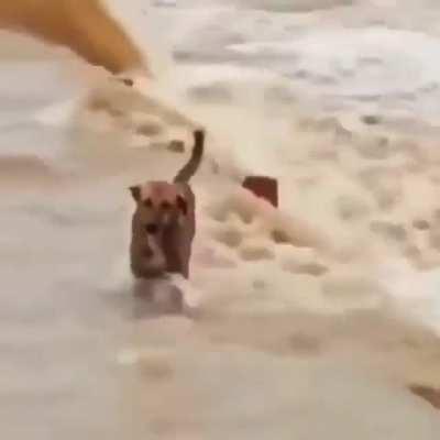 upvote si llorastes con el final inesperado