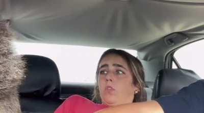 Her facial expressions are golden