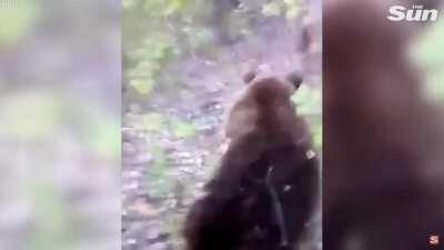 WCGW while I kick wild bear with no reason.
