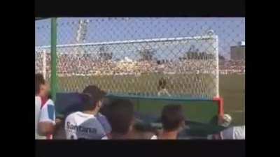 Muca demora 1hora pra abir live, Chat: