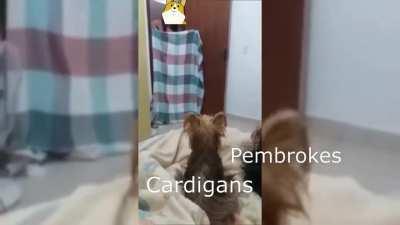 Surely must've happened when Atticus Left