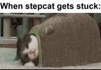 What are you doing step cat???