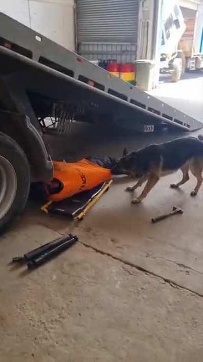 Enough working. let's play!