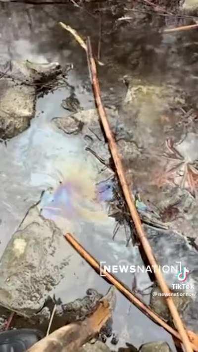 Erin freaking Brockovich in E. Palestine. She's explaining to the people how norfolk is trying to down play this horrible mess. Get'em Erin!