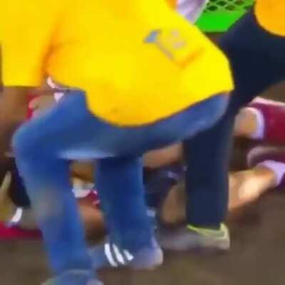 Bull “fighting”, a WWLL #Certified activity