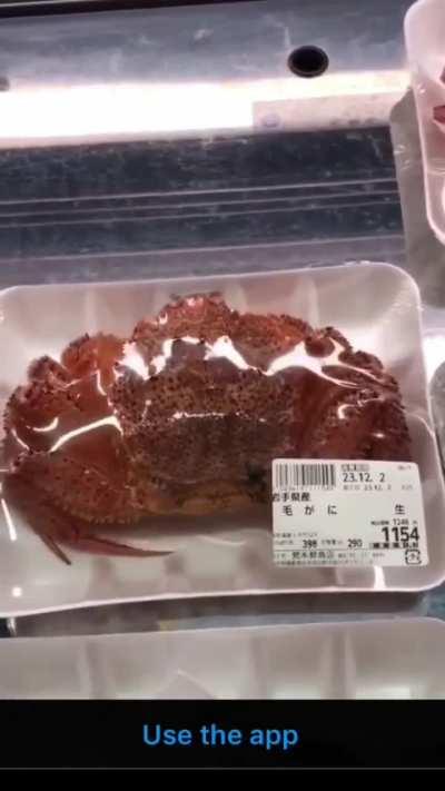 Necromancers gotta start small